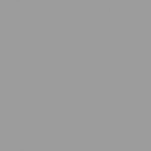 1479 Silvery