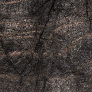 8113 Black Quartzite