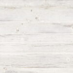 8118 Lily Pine