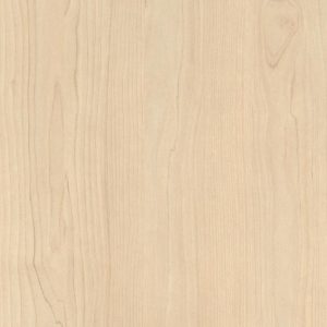 H1732 ST9 Берёза песочная H1732 ST9 Берёза песочная